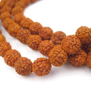 5 Mukhi Siddh Nepali Rudraksha Mala 108 Beads